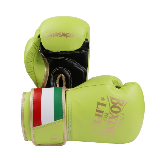 Noboxingnolife Brand Men's and Women's Professional Boxing Gloves for Adults, Muay Thai Fighting and Punching Bag Gloves