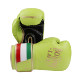 Noboxingnolife Brand Men's and Women's Professional Boxing Gloves for Adults, Muay Thai Fighting and Punching Bag Gloves