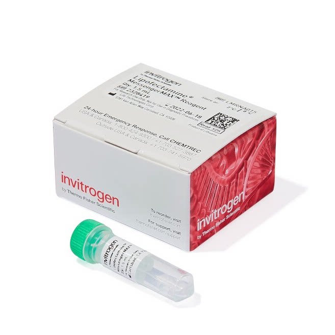 Invitrogen Lipofectamine MessengerMAX转染试剂 LMRNA015 1.5ml