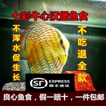 Beef heart burger colorful angelfish swallow fish Luohan fresh frozen fish food color-enhancing enteritis quarantine fort fish feed