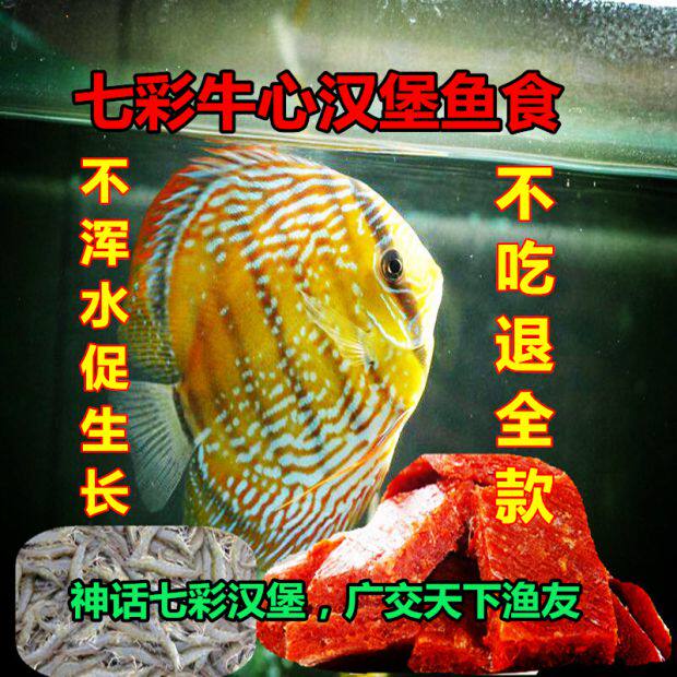 God Fairy Fish Homemade Bull Heart Burger Quarantine Medicine Seven Colorful Tropical Fish Food Feed 