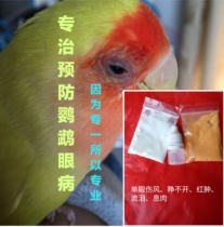 Peony Xuanfeng budgerigar special backup medicine eye disease one eye cold runny nose tearing polyp cant open