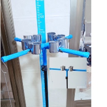 Parrot phoenix peony tiger skin small and medium parrot multi-bird training landing multi-pole parrot bird stand