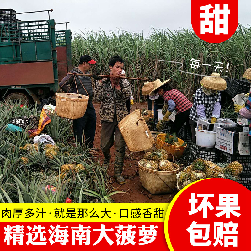 粉丝福利购优惠券5元