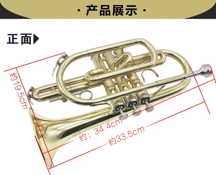 bB điều chỉnh B điều chỉnh số ngắn số nhỏ đồng thau cụ chuyên nghiệp cấp số ngắn - Nhạc cụ phương Tây đàn acoustic
