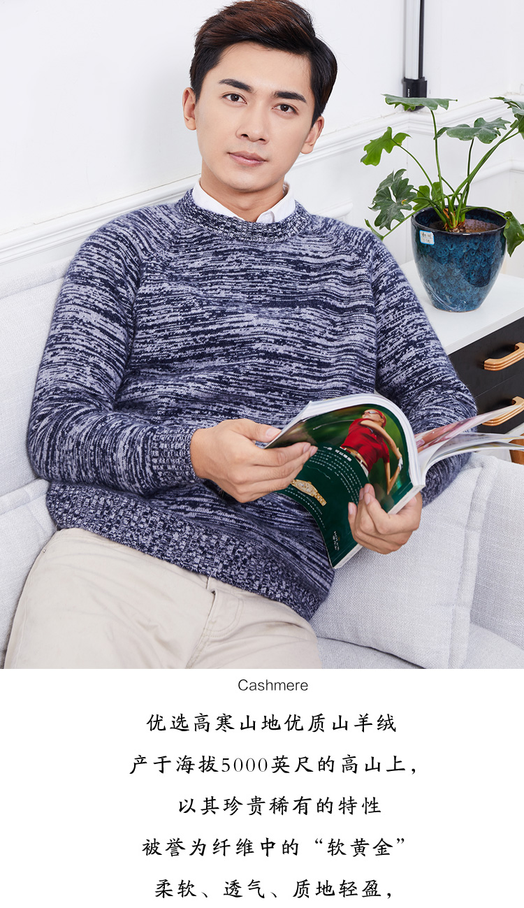 Áo len cashmere cổ tròn dày 100% áo len cashmere nguyên chất dành cho giới trẻ áo len giản dị mùa thu đông bộ nỉ nam