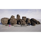 Ue Unreal-Stone and Rock Models-Rocks Vol.1-Snow, Wetness, Moss (Nanite)
