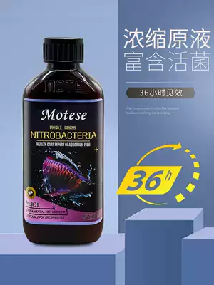 Nitrifying bacteria King nitrifying bacteria German formula concentrated stock solution activated water quality stabilizer fish tank water purification agent