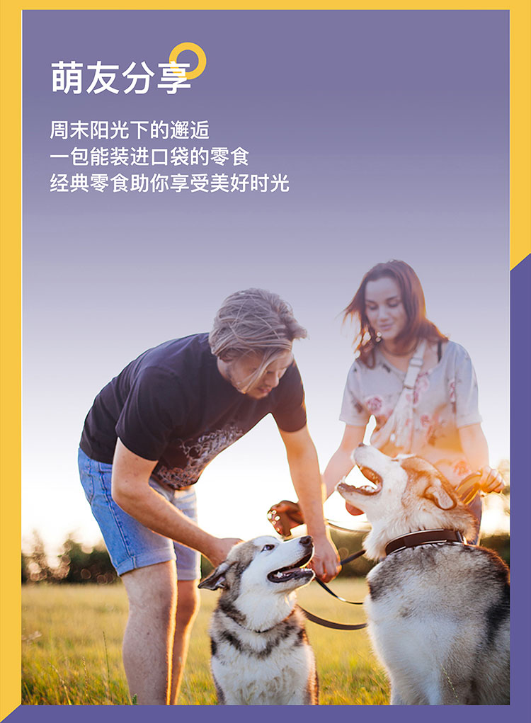 Yihe Pet Dog Snacks Gói quà tặng Teddy Bear Xiong Bomei Puppy Beef Grains Rod Đào tạo Rod - Đồ ăn vặt cho chó hạt cho poodle