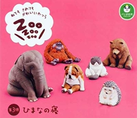 Роза красная