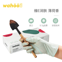 wahoo imported disposable latex gloves Food grade rubber thickened wear-resistant household kitchen catering durable