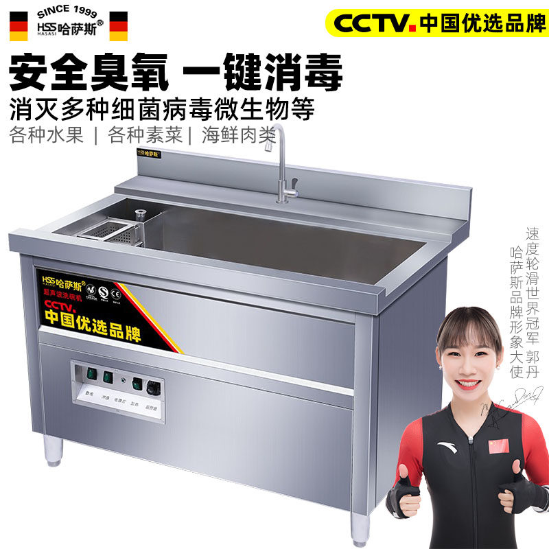 Hassas Commercial Washing Machine Large Automatic Vegetable Cleaning Machine Restaurant Ozone Dishwasher