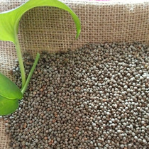 Changbai Mountain Perilla Seeds Green Leaf Perilla Thin Skin and Fragrant Taste 1 catties of Primary Agricultural Products