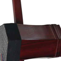 Rao rhyme Purple Honolulu II Huo class Purple Honolulu Second Hu beginner beginner Erhu adult children Universal with box