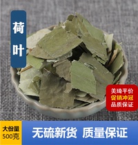 Weishan Lake Pure Lotus Leaf Tea Dried Lotus Leaves Natural New Tea Specially Made for Tea Lotus Leaves Dried Lotus Leaves 500g