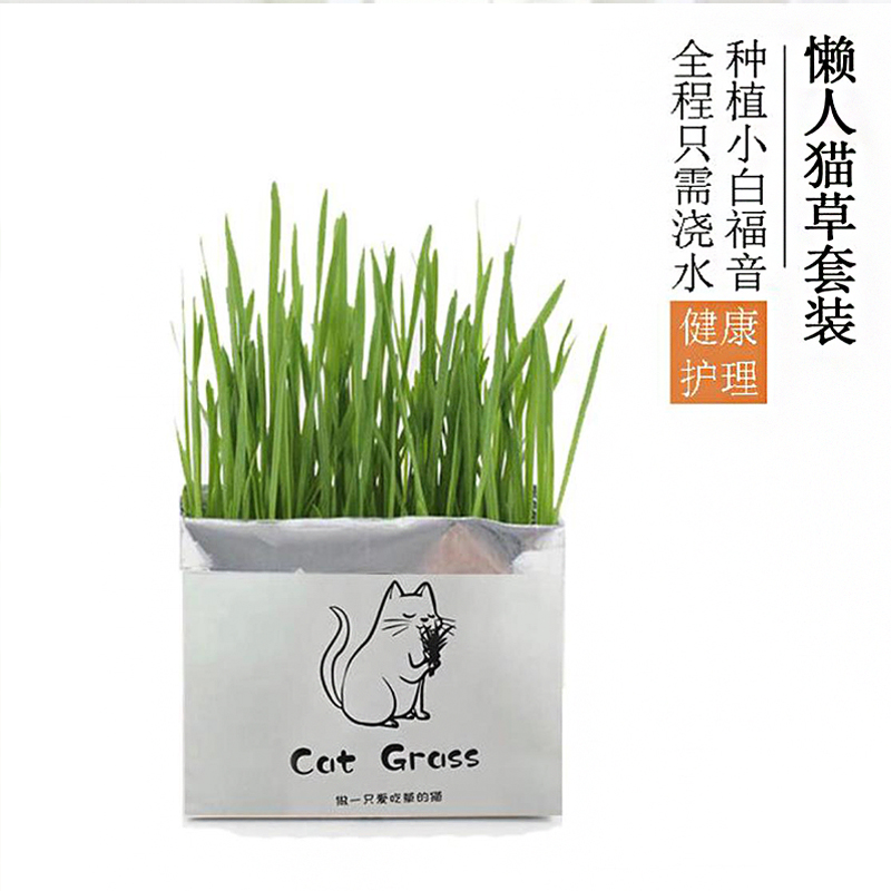 Soilless cat grass to hair balls to help digest clean oral kittens Oxymoron Organic Cat Grass Seed Cultivation Cultivation Suit