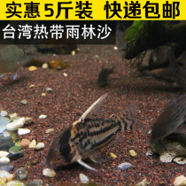 Fish tank sand bottom sand landscape sand rain sand makeup gerbil fish sand grass tank tropical rain forest sand color sand fine sand