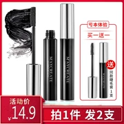 [2 que] Mascara dài tự nhiên loại uốn cong mã hóa dài không thấm nước lâu dài không nở chính hãng - Kem Mascara / Revitalash