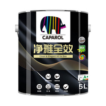 Deaiwei CAPAROL net elegant full effect latex paint 5L