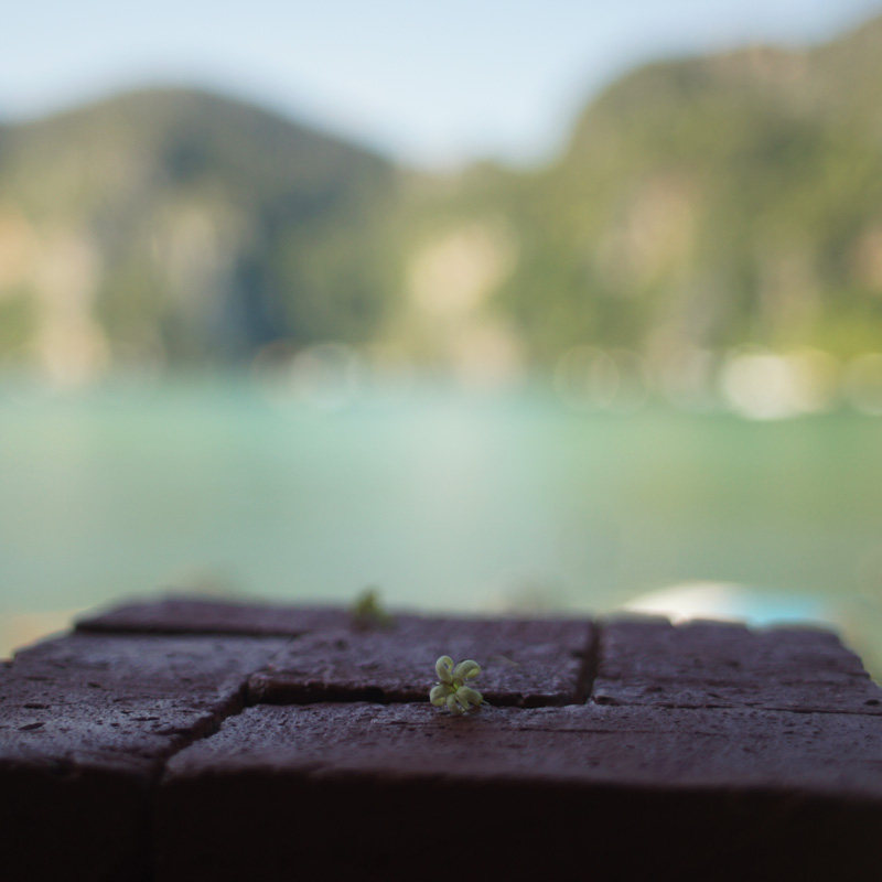 Pores Great Dust Suction Luxurious Small Black Brick Oil Field Black Head Fine Pores Courtyard Home Yiyun Water Cooled Handmade Soap