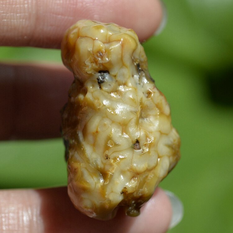 L=34mm30#Xinjiang Gobi Agate rough pendant Meridian meridian Jinmai Agate mineral specimen
