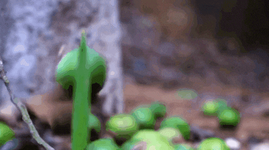 20230817_112212_010.gif