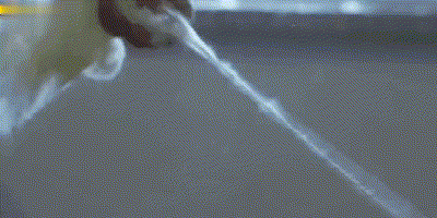 20230625_104936_009.gif
