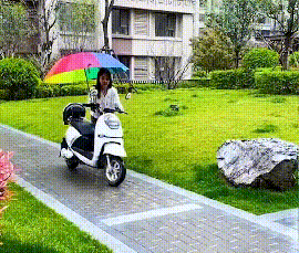 20230804_105747_005.gif