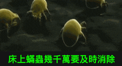 100.gif