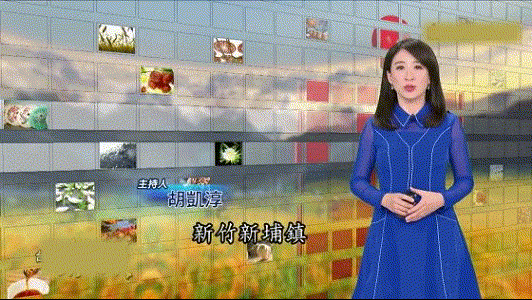 20231213_110838_004.gif