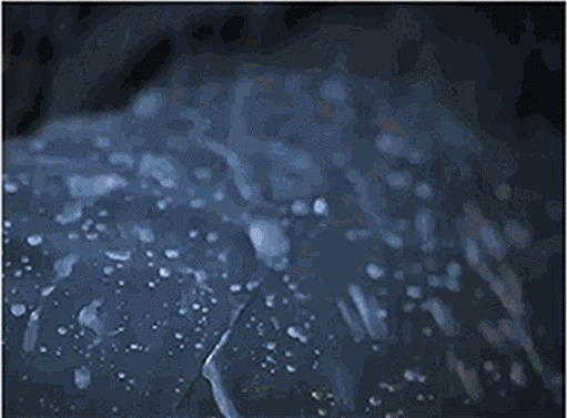 20230804_105747_012.gif