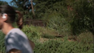 pic_032.gif