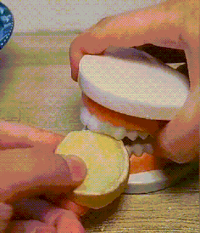 025.gif