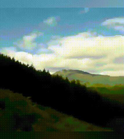 20230602_155153_013.gif