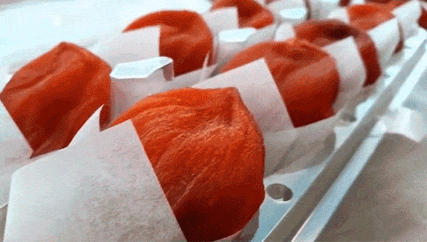 18.gif