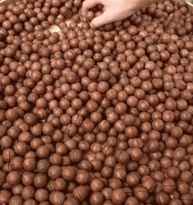 20230817_112212_012.gif