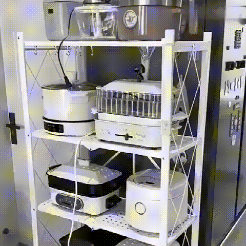 DM_20230629175443_002_20230629180903_256.gif