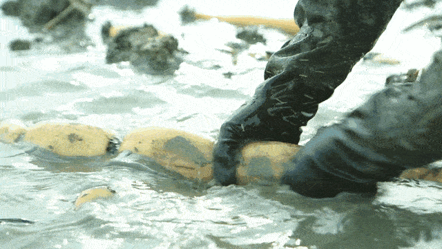 04.gif