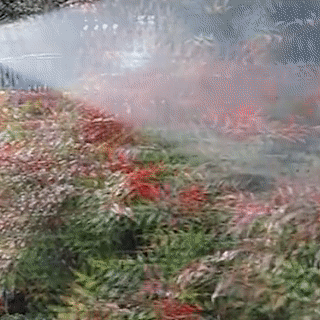 07.gif
