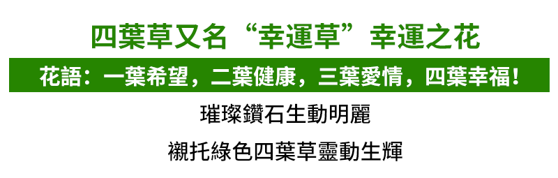 5.gif/