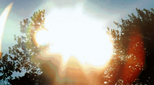 20220427_101447_005.gif
