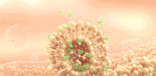 20230720_162550_049.gif/