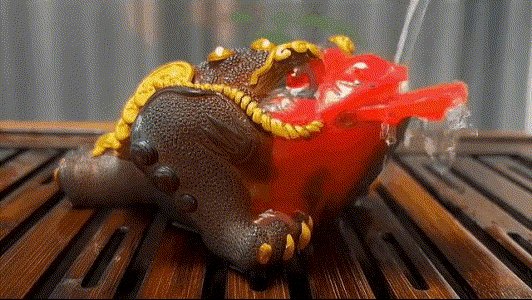 20230926_114256_016 (1).gif