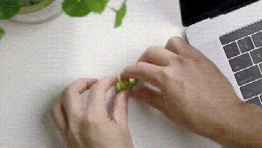 format_webp.gif