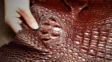 020.gif