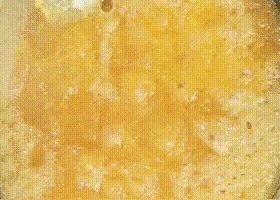 72b7e0a5b1730a7f7ed44d11c5e07b53 (1).gif