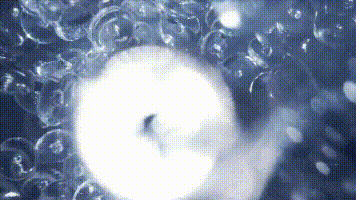 20231117_232457_039 (1).gif