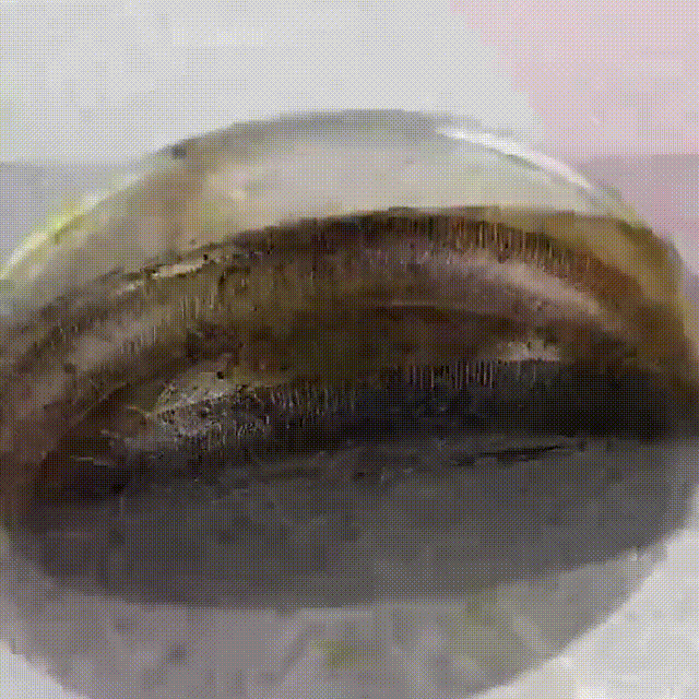 pic_025.gif