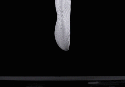 20221224_103501_030.gif