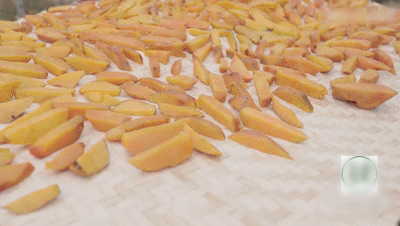 17.gif